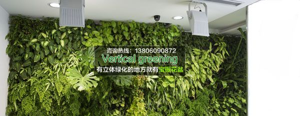 上海东郁墙面垂直立体绿化