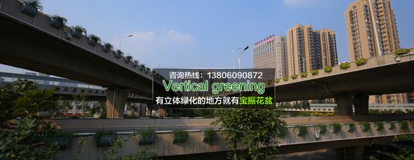 邯郸立交桥立体绿化