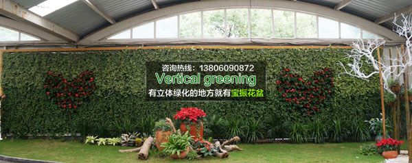 广东室内墙面垂直立体绿化