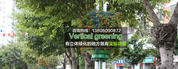漳州马路灯杆立体绿化