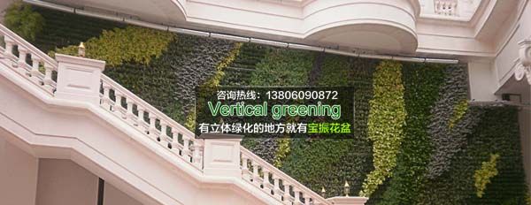 南京室外墙面垂直立体绿化