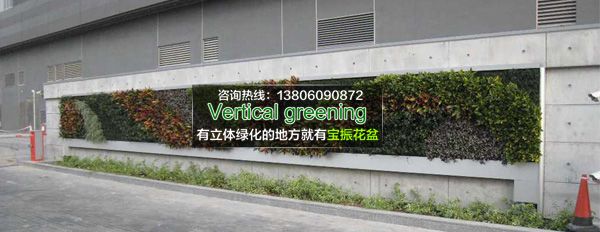 重庆室外墙面垂直立体绿化