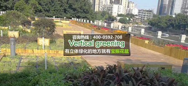 福州光明港公园屋顶绿化