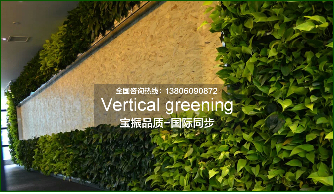设计室内垂直绿化植物墙要充分考虑空间的切割性