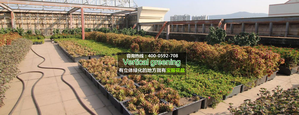 屋顶绿化功能和作用